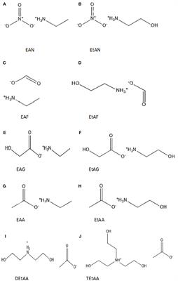 FTIR Spectroscopic Study of the Secondary Structure of Globular Proteins in Aqueous Protic Ionic Liquids